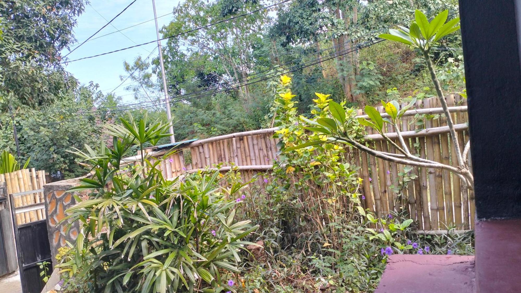 Palm Homestay Kuta Kuta  Εξωτερικό φωτογραφία