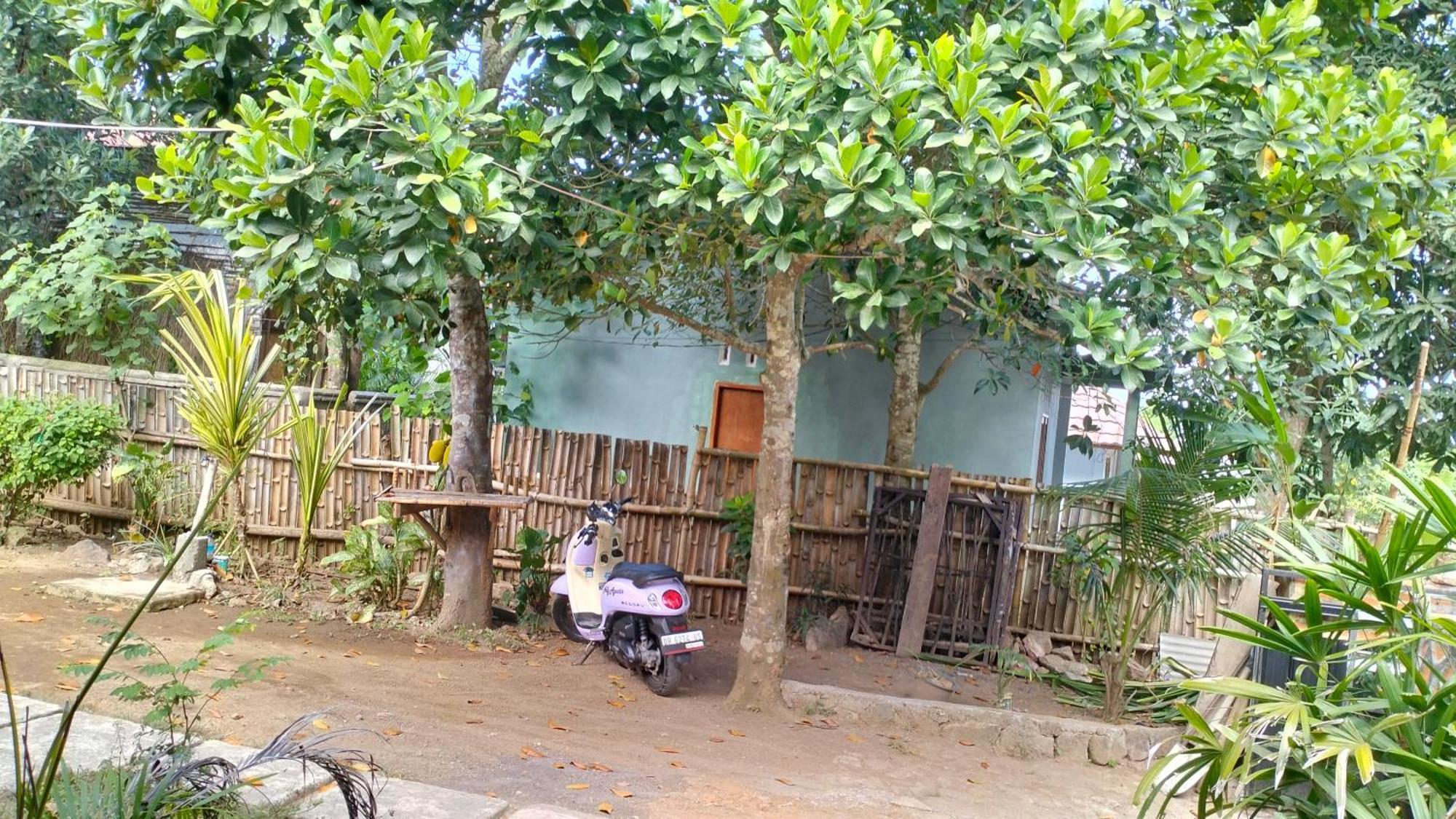 Palm Homestay Kuta Kuta  Εξωτερικό φωτογραφία