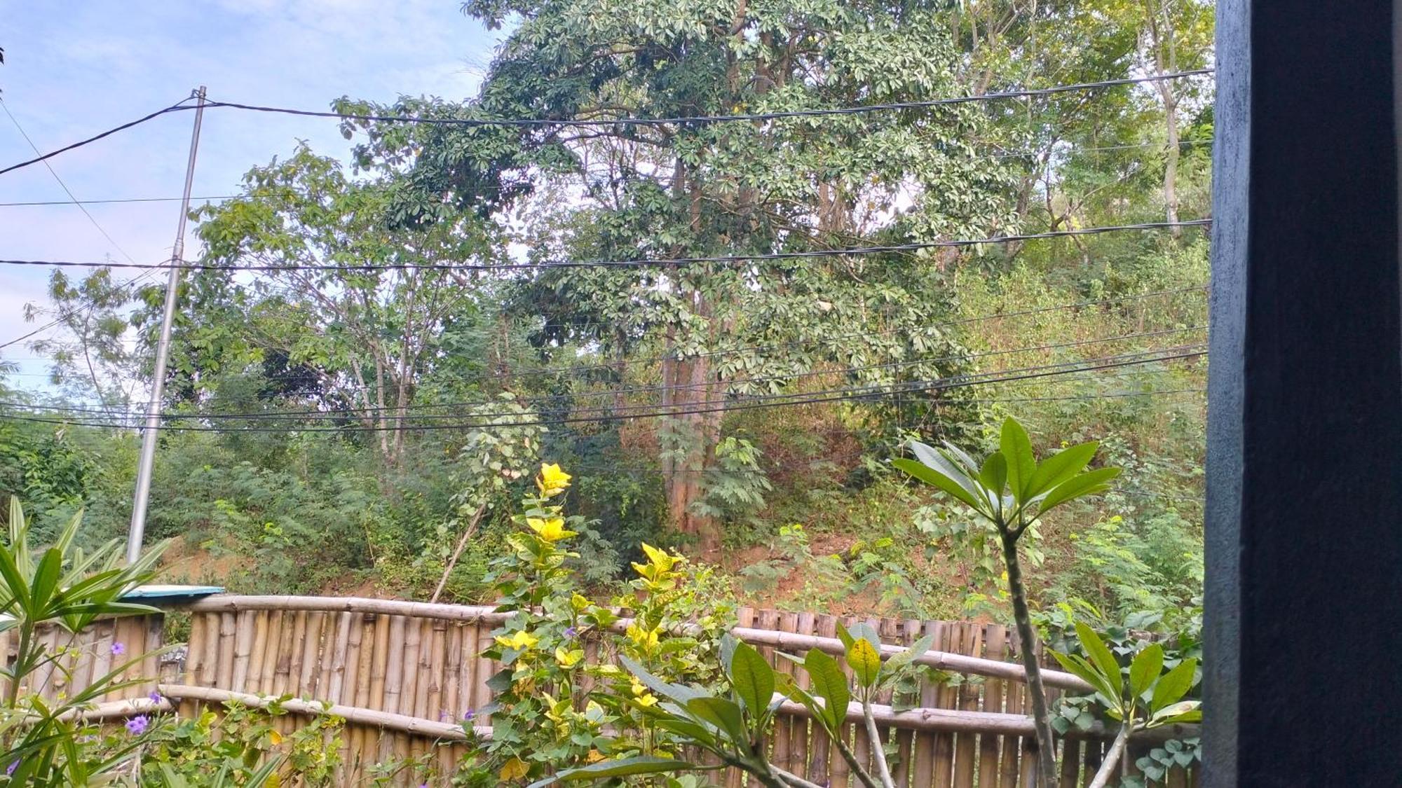 Palm Homestay Kuta Kuta  Εξωτερικό φωτογραφία